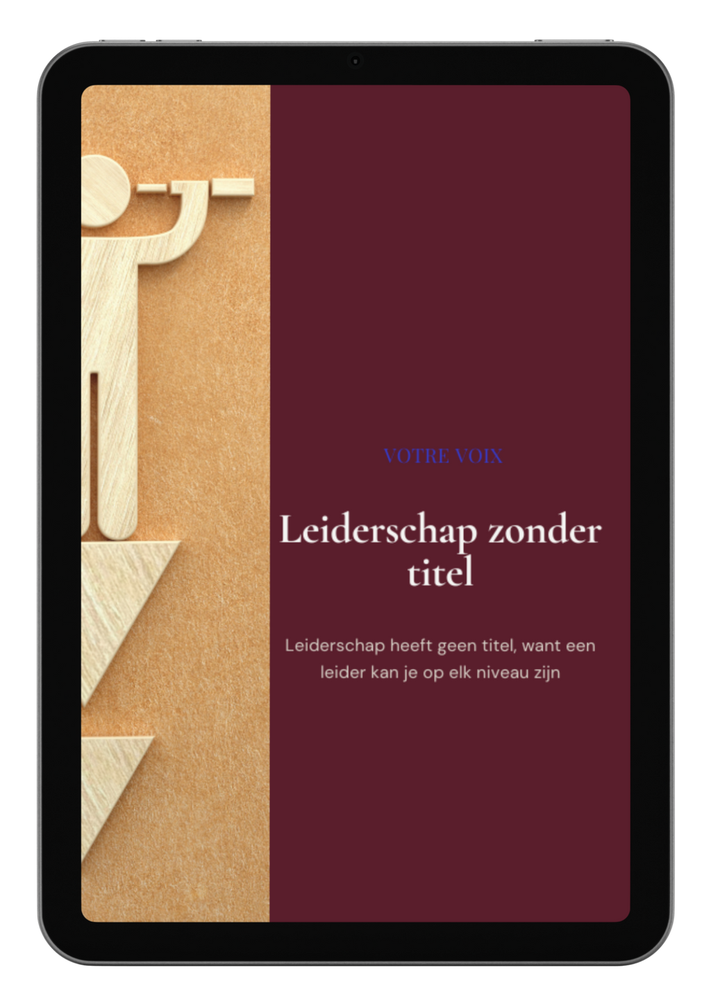 E-book guide: Leiderschap zonder titel 