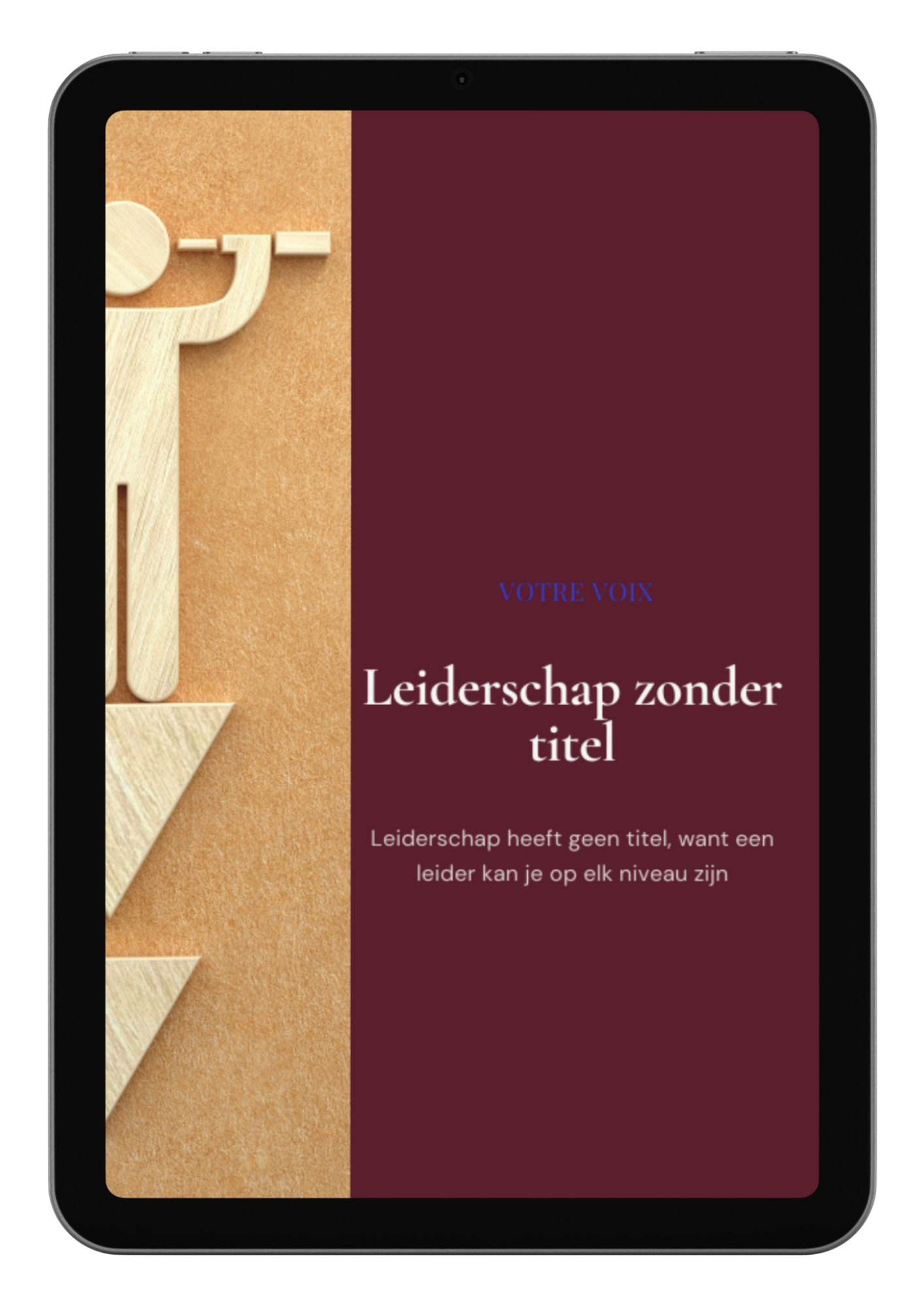 E-book guide: Leiderschap zonder titel 