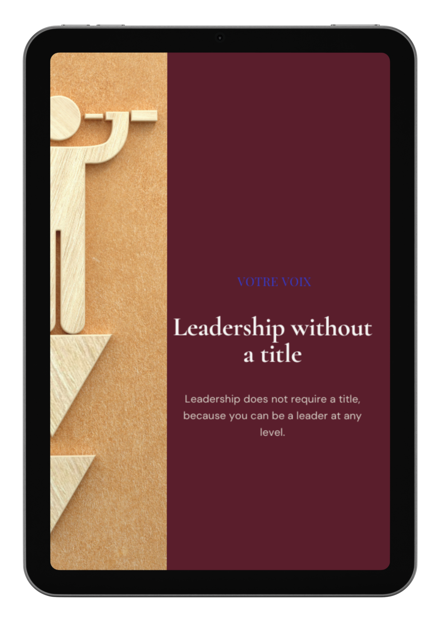 E-book guide: Leiderschap zonder titel 